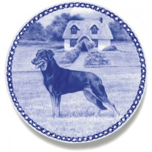 Beauceron piatto per - beauceron,