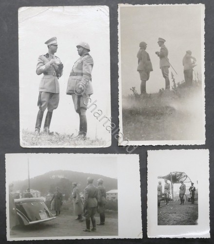 Lotto fotografie principe - fotografie,