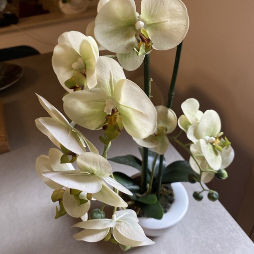 Fiori orchidea artificiali - di,