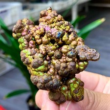 65G Natural and beautiful