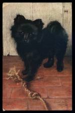 cartolina d'epoca-post