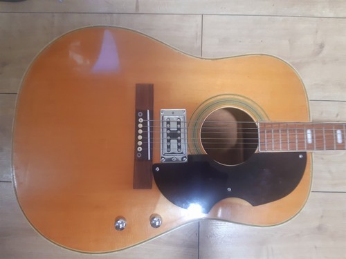 Chitarra elettroacustica