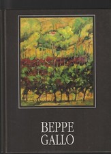 BEPPE GALLO OPERE 1976 - 2000 A CURA DI ALDO PICCO - MEETING ART