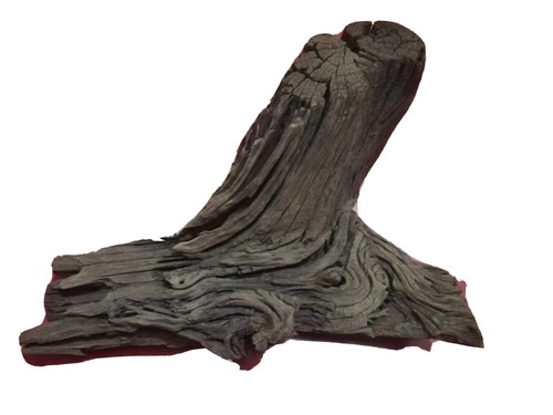 Radice naturale mangrovia - naturale,