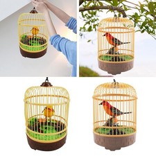 1pc Oiseau Activé Son Activé