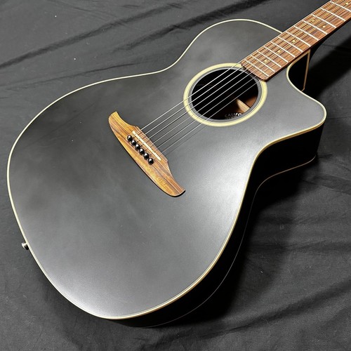 Chitarra elettrica acustica