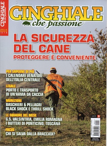 Cinghiale che passione - cinghiale,