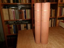 DOMENICO CAMPANACCI. Giornale