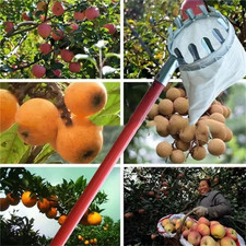 Raccoglitrice Di Frutta in Ferro Zincato Telescopico Multiuso per La Raccolta De