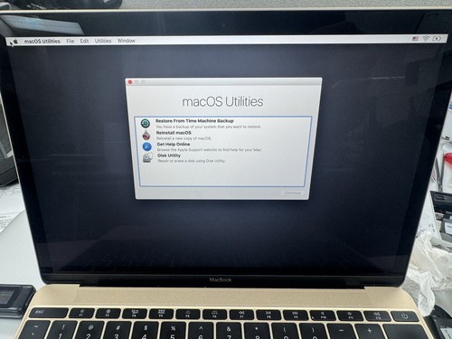 Display lcd macbook a1534 - display,