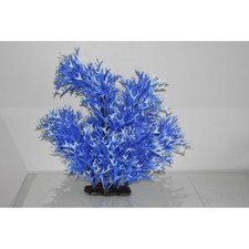 Acquario Gigante Sfondo Blu &