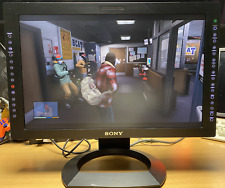 🙇 RARO MONITOR SONY