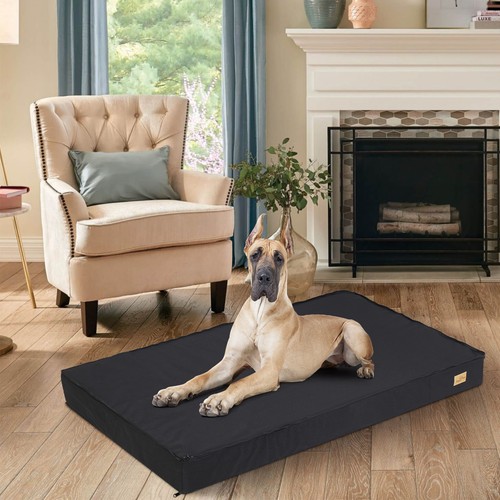 Cuccia per cani - m, l
