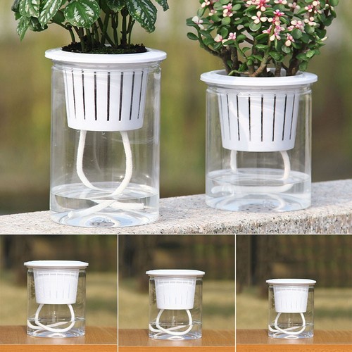 Vaso per piante finestra - per,