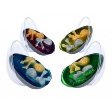 Quattro 4 x riempitivi borsa