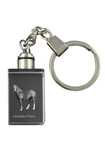 Canadese Cavallo - Orologio