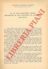 Su di uno scheletro umano