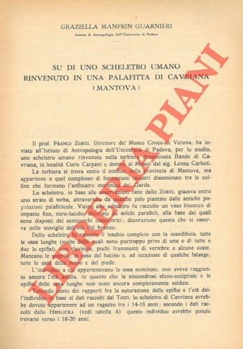 Uno scheletro umano - scheletro,