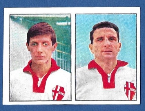 Figurina calciatori panini - figurina,