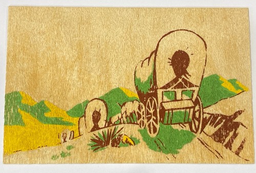 Postcard yucca wood - postcard,