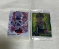 Set di figurine Hunter x