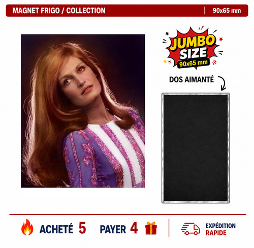 Magnet frigo dalida - magnet,