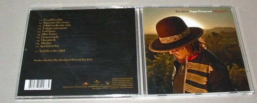 Zucchero sugar fornaciari - zucchero,