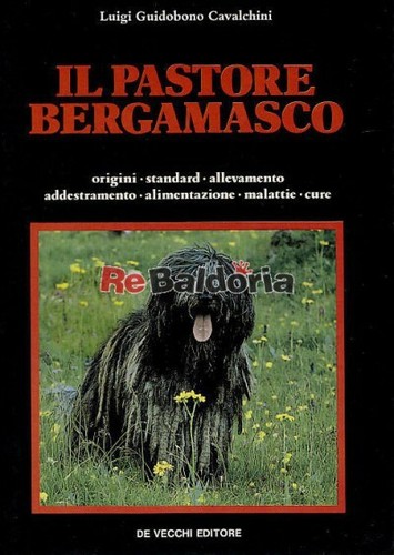 Cane pastore bergamasco - cane,