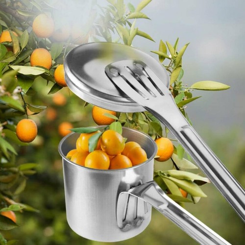 Raccoglitore frutta acciaio - frutta, in