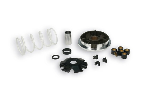 5111561 variatore malossi - 5111561,