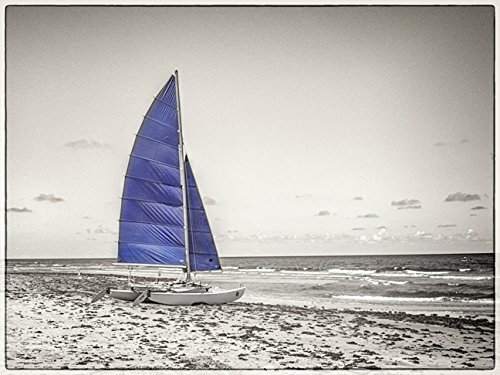 Fotografia catamarano blu - fotografia,