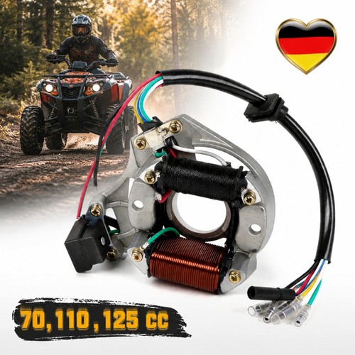 Bobina magnetica 70cc - , 110cc