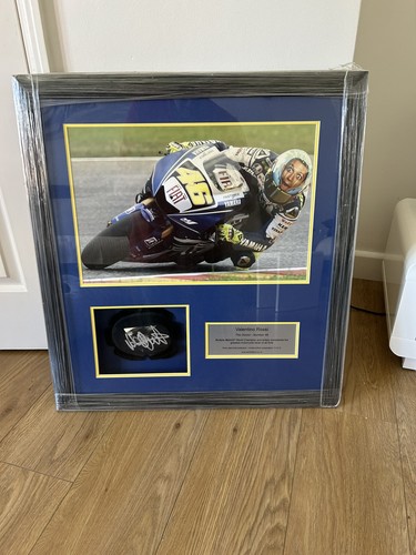 Ginocchiera valentino rossi - ginocchiera,