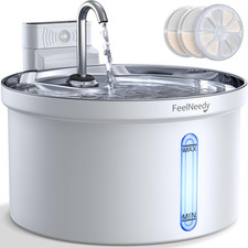 Fontanella per Gatti Senza