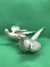 Coppia di fagiani uccellini