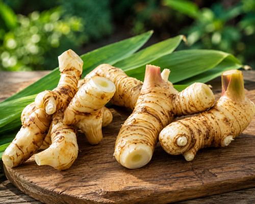 002462a thai ingwer alpinia - thai,