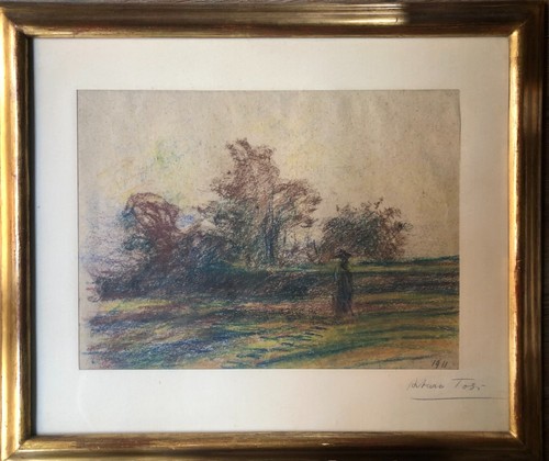 Pastello arturo tosi - di,