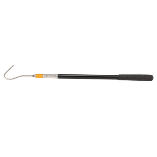 Per bastone rettile con - per,