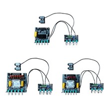 Scheda Amplificatore Microfono Professionale 8-36V Scheda Riverbero Karaoke