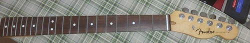 2024 fender indonesian - 2024,