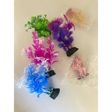 Acquario Plastica Alghe