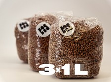 Substrato di grano biologico 3x1 L sterile - sacchetto per coltivazione funghi con microfiltro e porta vaccinazione