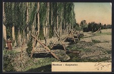 Mendoza, Guaymallen, cartolina 1910 