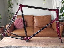 Bici da strada vintage specializzata Epic Lugged telaio in carbonio con Campagnolo BB