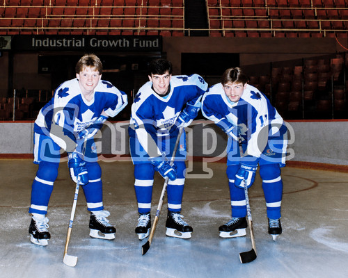 Toronto maple leafs - toronto, hound