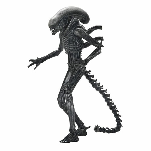 Alien romulus xenomorph - romulus,
