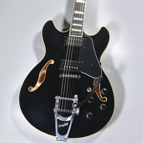 Strumento musicale ibanez - strumento,