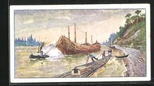 Figurina Kant-Cacao, zattere