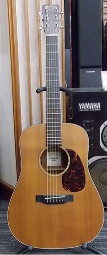 Chitarra acustica elettrica - chitarra, acustica-elettrica