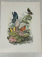 menu nave S/s MICHELANGELO